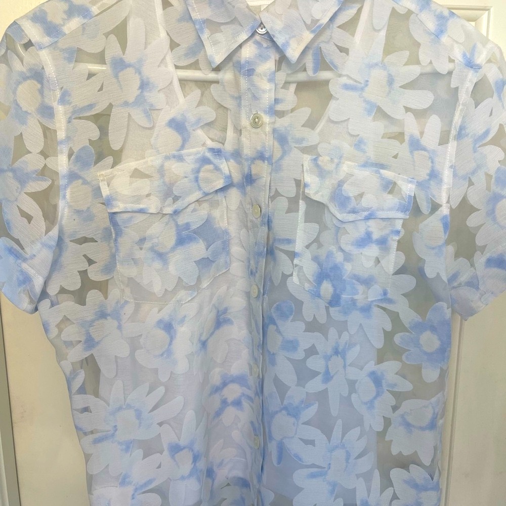 Joie sheer flower top